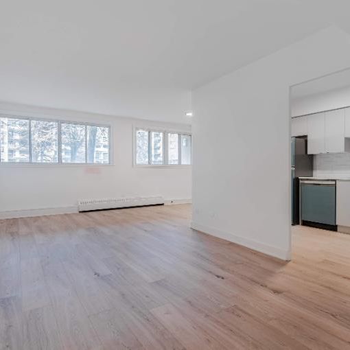 1 CH - 1 SDB - St-Laurent - $1,495 /mo - Photo 1