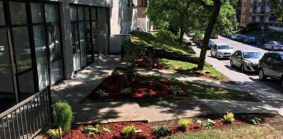 3 1/2 RÉNOVÉS, CHAUFFAGE EAU CHAUDE INCLUS, PRES UDEM, HEC, POLY, HOPITAUX - Photo 2