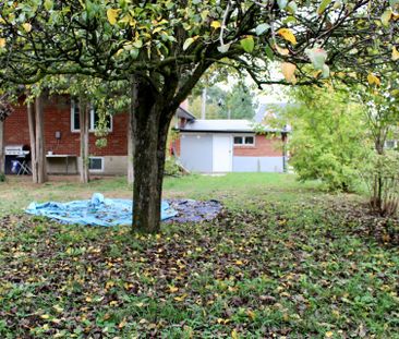 For Lease - 23 Wedgewood Drive, Toronto, Ontario - Photo 6