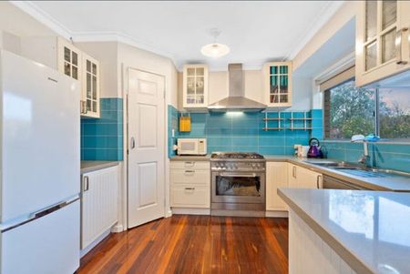 Mount Nasura - Photo 3