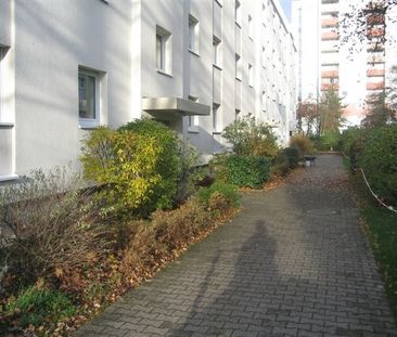 3 Zimmer, Küche, Bad, Dusche, Loggia, 2.OG rechts - Foto 1