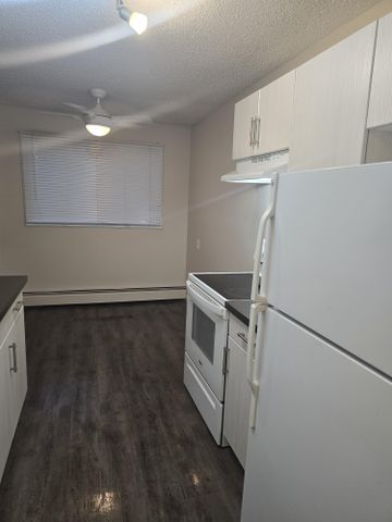 Modern 1 Bedroom Apartment Downtown Available Now - Photo 4
