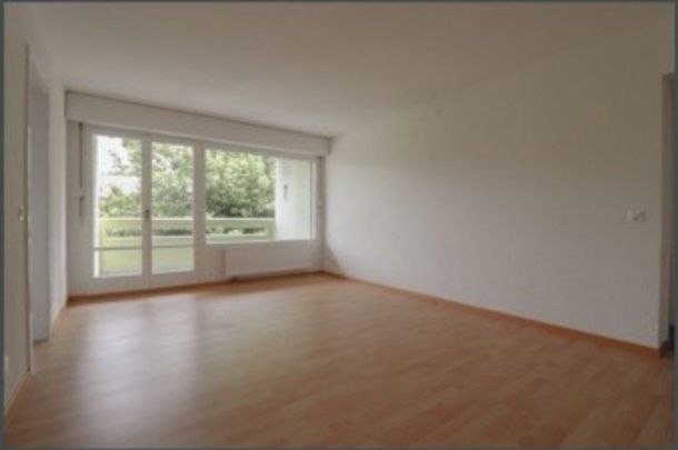 3.5 Zimmer, 65 m², 1. Stock - Foto 1