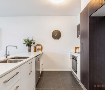 159/45 Catalano Street, Wright ACT 2611 - Apartment For Rent | Domain - Photo 6