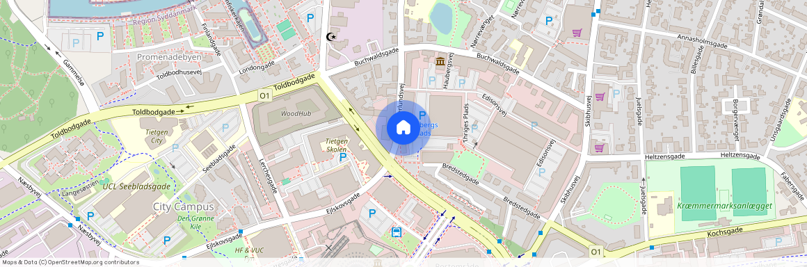 Tolderlundsvej 17, 1.3, 5000 Odense C