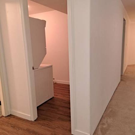 2 Bedroom Basement in a Safe, Quiet, beautiful Westwood Plateau - Photo 4