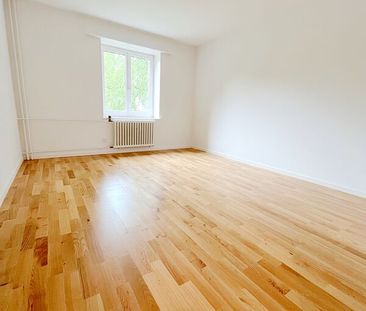 Gemütliche Wohnung in der Nähe des Rheinfalls - Photo 2