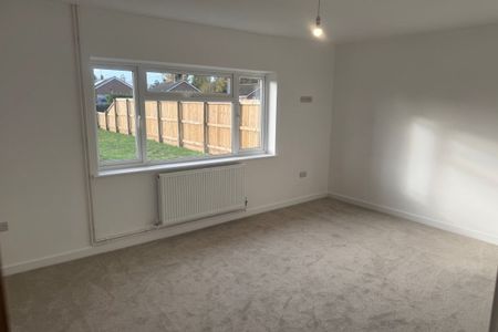 The Cottons - Photo 2