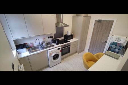 Room in a Shared Flat, Institute Road, B14 - Photo 3