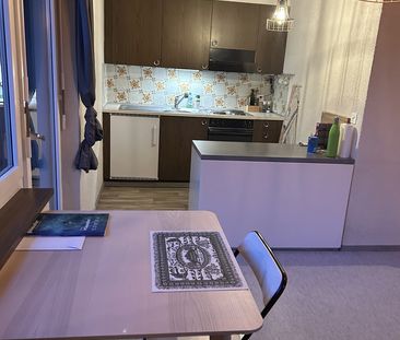 2 Zimmer, 46 m², EG - Foto 4