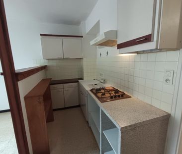 Location Appartement 2 pièces 46m² ONNION 74490 - Photo 3