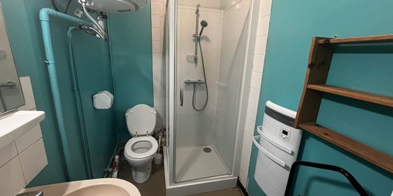 Location Appartement 1 pièce 30m² ALBI 81000 - Photo 3