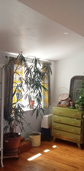 Location Appartement 4 pièces 64m² RIOM 63200 - Photo 1