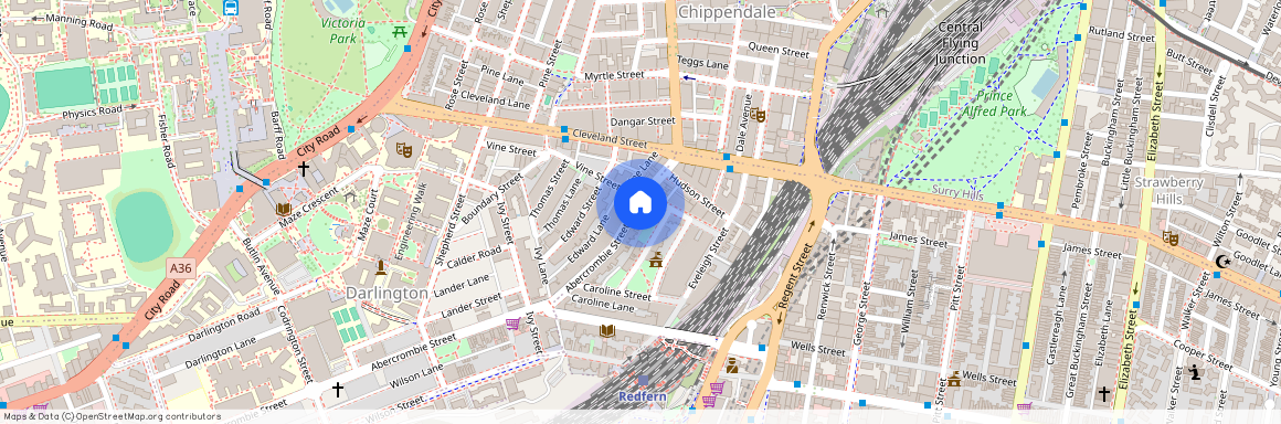 166 Abercrombie Street, Redfern NSW 2016