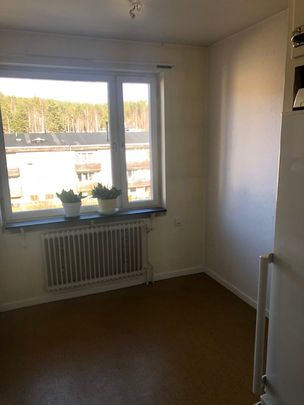 Textilvägen, Sågmyra - Photo 1