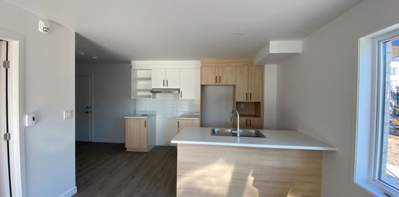 Le 1060 Maurice-Campbell - Photo 2
