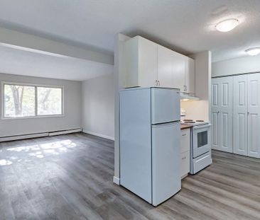 1 Bedroom - Photo 2