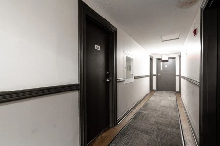 54 - 56 Maitland Street — Studio - unit 104 - Photo 4