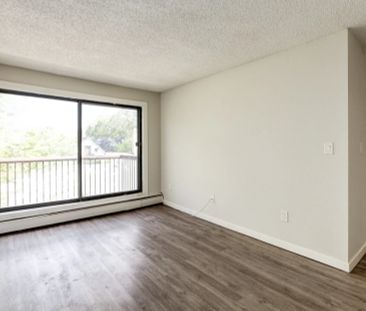 2 Bedroom - Photo 6