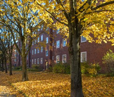 Demnächst verfügbar! 2-Zimmer-Wohnung in Kiel - Photo 5
