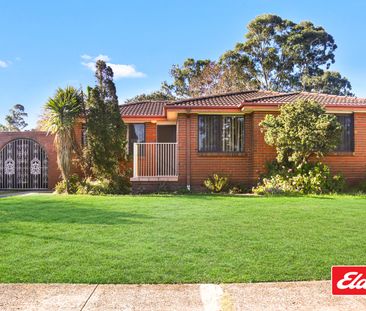 81 Tichborne Drive - Photo 6