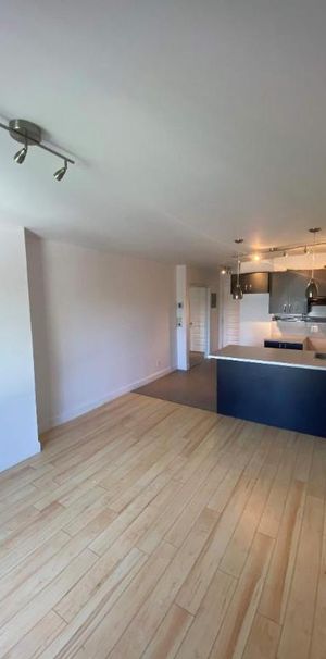 1 CH - 1 SDB - Montréal - $1,295 /mo - Photo 1