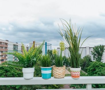 Großzügige 3-Raumwohnung fußläufig zum Neustädter See - Photo 6