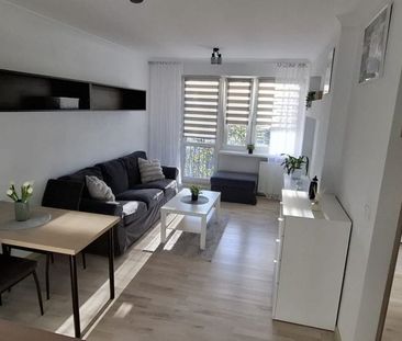Wynajem, śliczne i odświeżone 2-pok. mieszkanie 38 m² - Photo 2