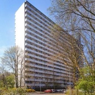 Menno Ter Braaklaan, 2624 Delft, Nederland - Foto 3