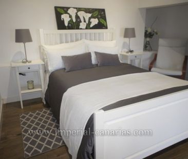1 Bed Villa/House to Rent - Photo 3