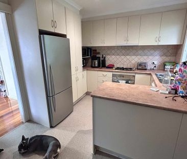 Mont Albert - Photo 3