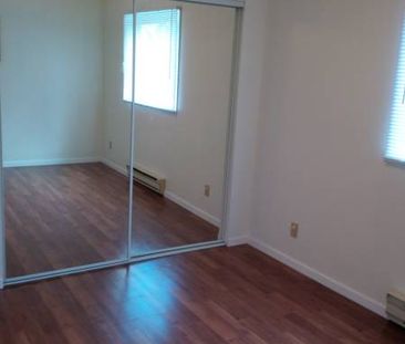 1 bdr 550 sq.ft ground floor suite - Photo 4