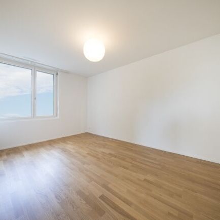 Votre recherche se termine ici - Photo 1