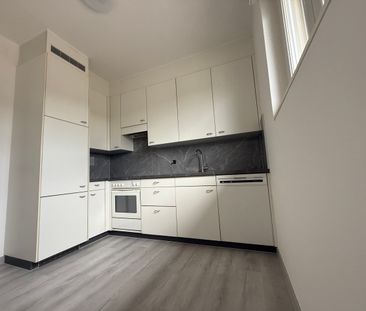 Luminoso appartamento 2.5 locali RISTRUTTURATO a Mendrisio - Foto 2