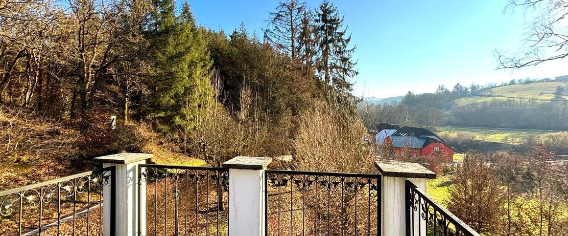 Wohnen inmitten der Natur auf malerischen Landsitz: Dachgeschosswohnung mit Panorama-Terrasse & Stellplatz! - Foto 1