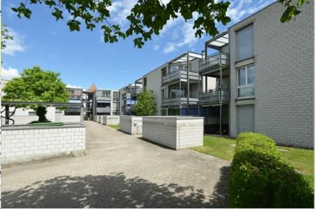 3.5 Zimmer, 64 m², 1. Stock - Foto 4