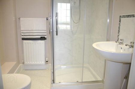 8 Calendine Wilds, Dungannon, BT71 6FQ - Photo 5