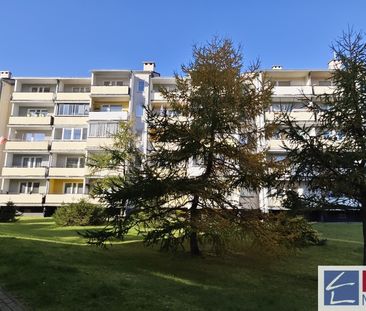 Kijewo, ul. Tarpanowa - Zdjęcie 5