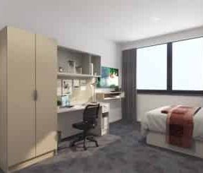 True Studio Plus - Photo 4