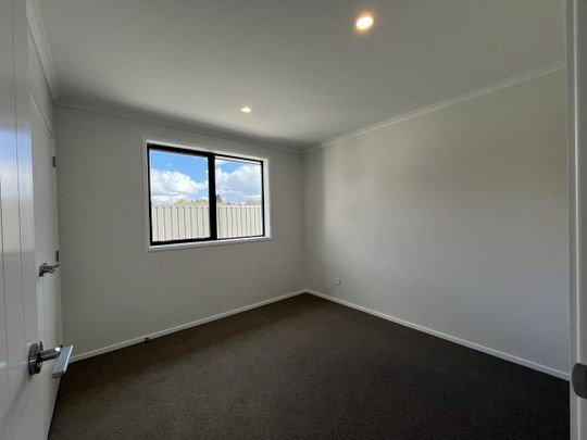 Brand New Executive Home - Photo 1