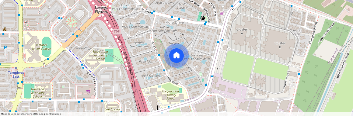 53 Flora Drive, D17, 506863, Singapore