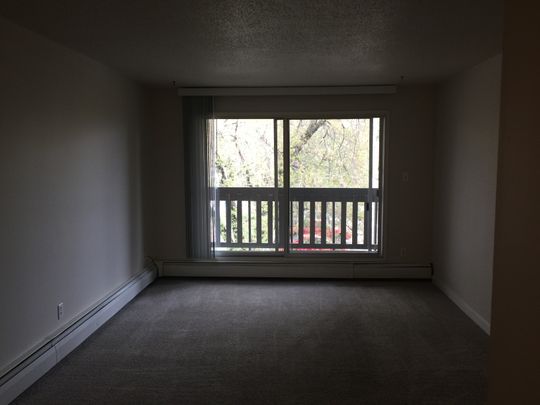 1 BEDROOM ON THE 3RD FLOOR!! DOWNTOWN RED DEER!! - Photo 1