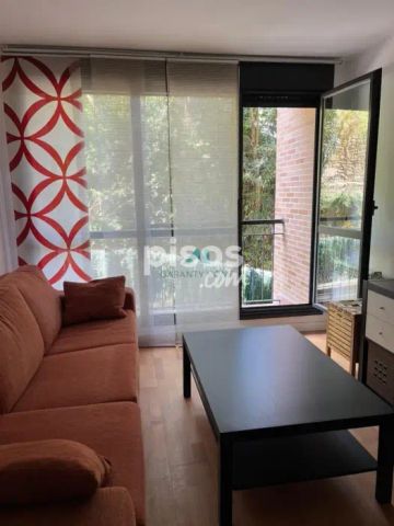 Piso en alquiler en Calle de la Dehesa - Foto 2