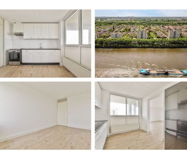 Hermelijnvlinder 95, Vlindertuin, 1113LC, Diemen - Photo 4