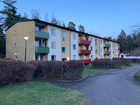 Pionvägen, Gusum - Photo 5