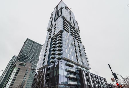 Condo for rent, Montréal (Ville-Marie) - Photo 5