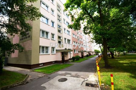 Szczecin, Centrum - Zdjęcie 5
