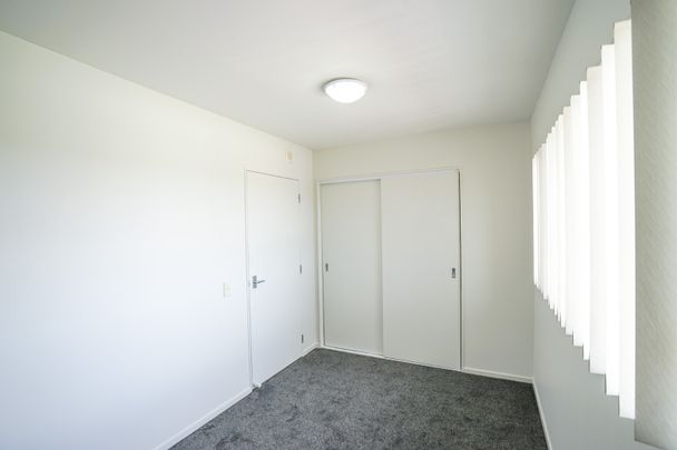 Freshly Updated in Prime Botany Town Location - Photo 1