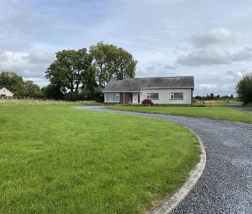 227 Tandragee Road, Portadown, BT62 3RA - Photo 5