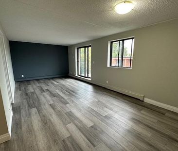 apartments at 40 Front Street - Photo 4